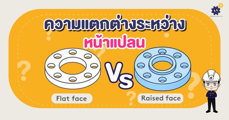 Difference Between Rf And Ff ความแตกต่างระหว่างหน้าแปลน Raised Face vs Flat Face Flange - Sealingrus ...